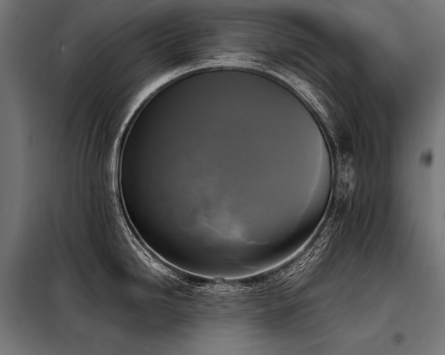 X0000098191246200804241237