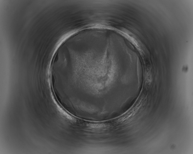 X0000098191247200804241237