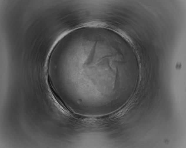 X0000098191248200804241237