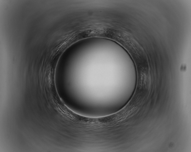 X0000098191250200804241236