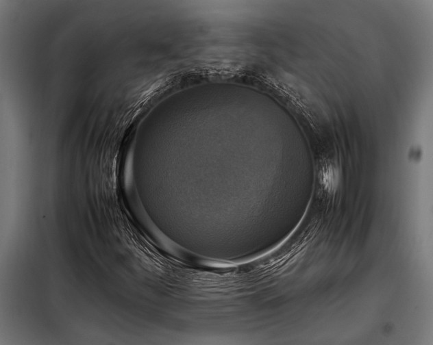 X0000098191252200804241236