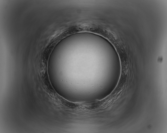X0000098191253200804241236