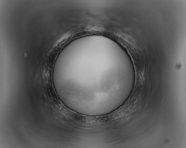 X0000098191254200804241236