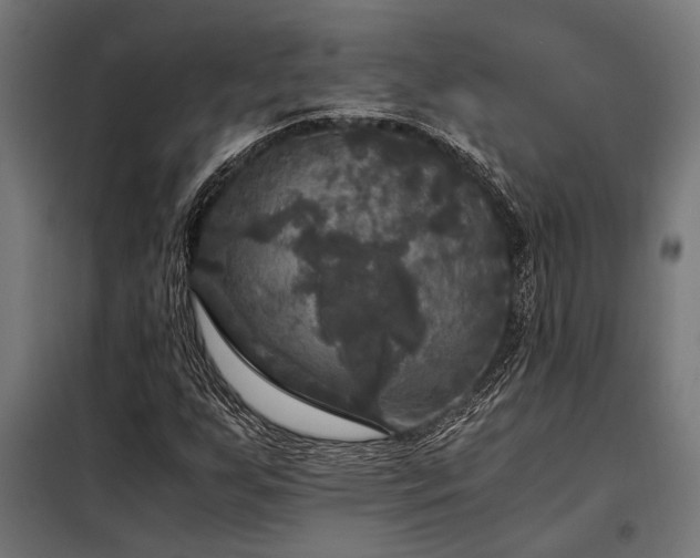 X0000098191255200804241236