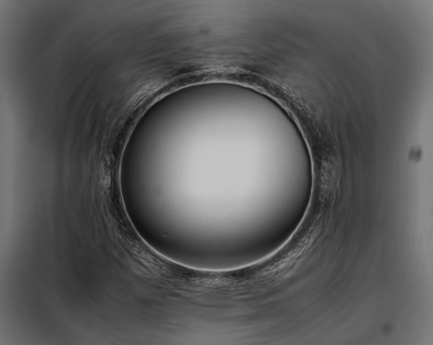 X0000098191257200804241236