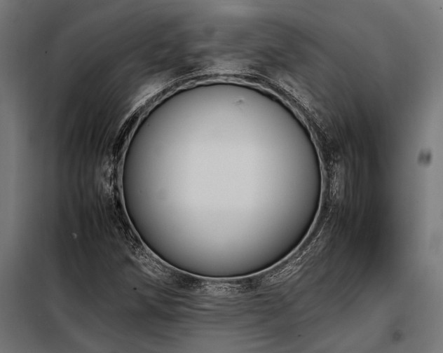 X0000098191258200804241236