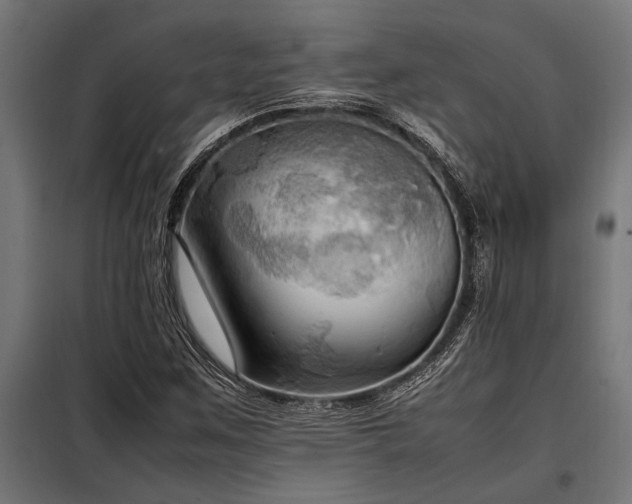 X0000098191259200804241236