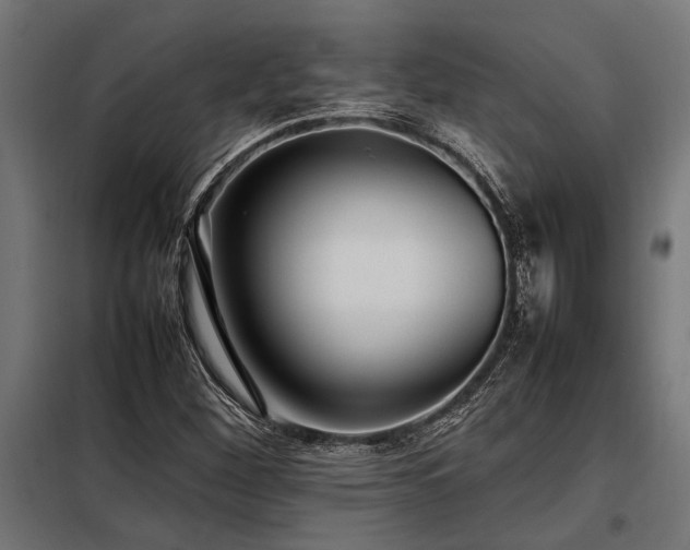X0000098191260200804241236