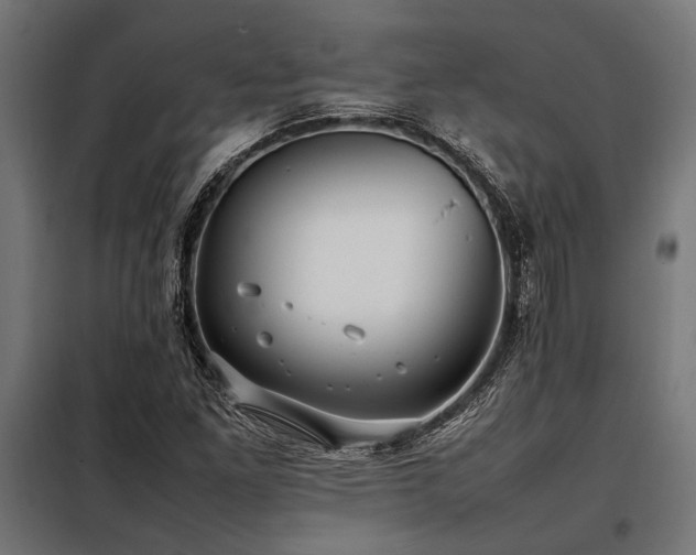 X0000098191261200804241236