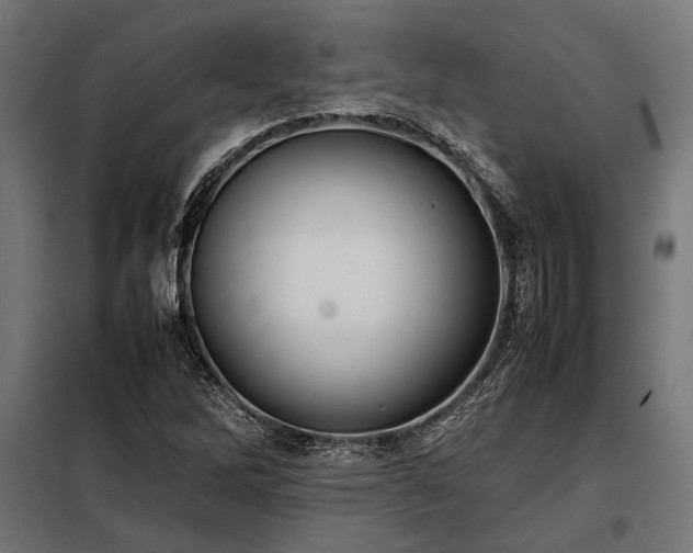 X0000098191262200804241236