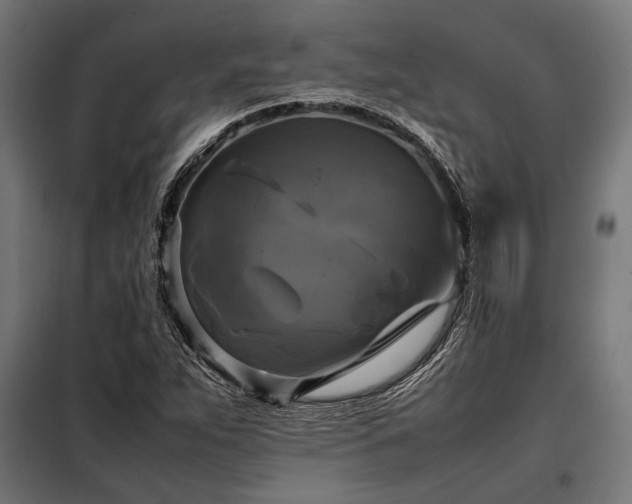 X0000098191263200804241236