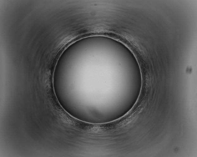 X0000098191265200804241236