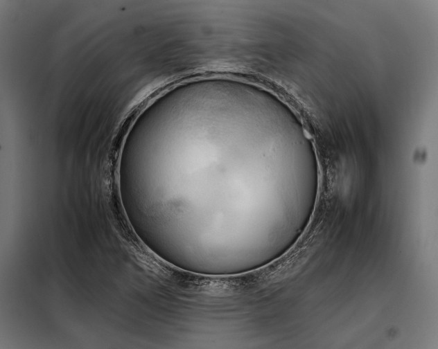 X0000098191266200804241236