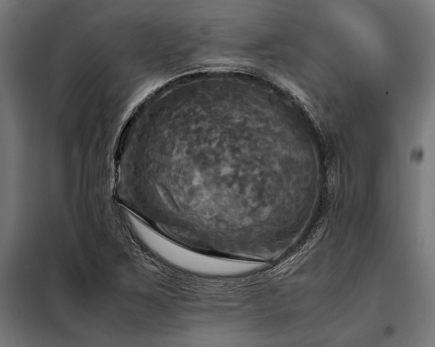 X0000098191267200804241236