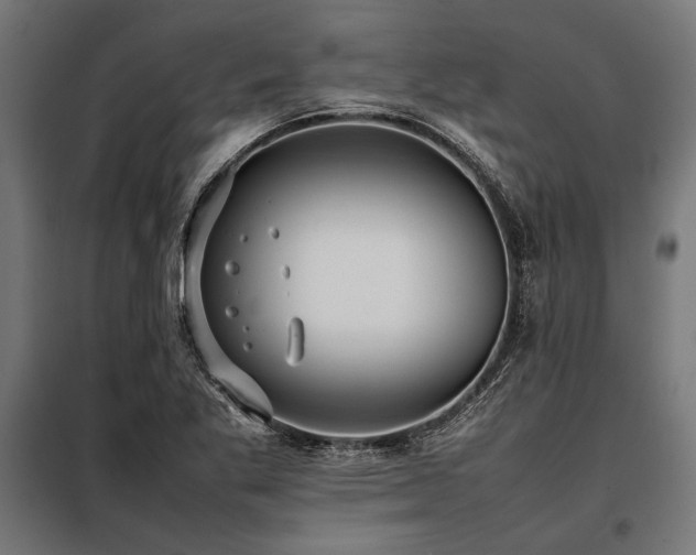 X0000098191269200804241236