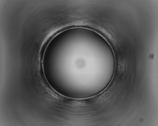 X0000098191270200804241236