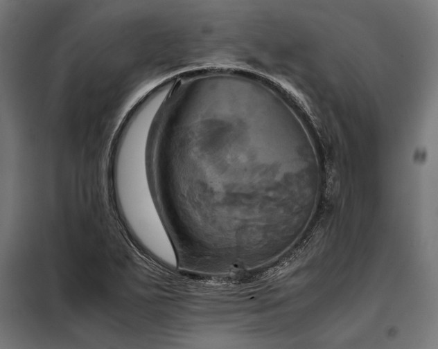 X0000098191271200804241236