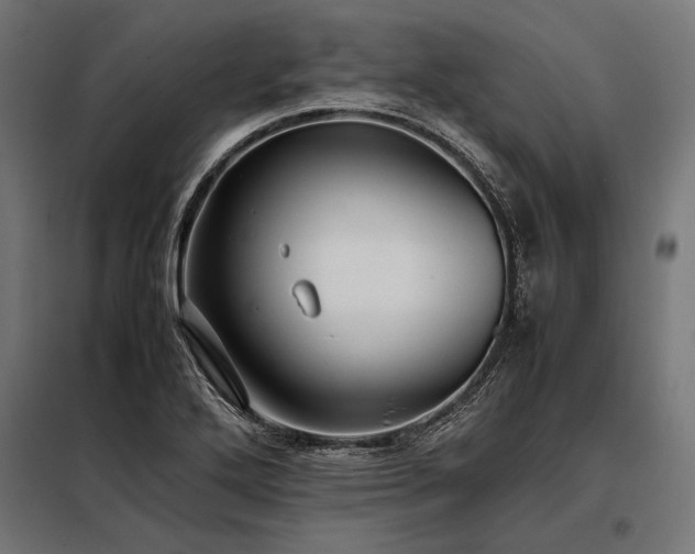 X0000098191272200804241236