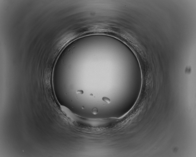 X0000098191273200804241236