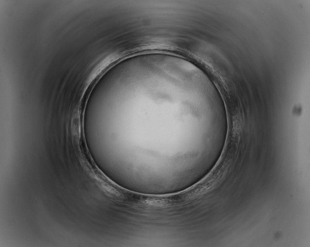 X0000098191274200804241236