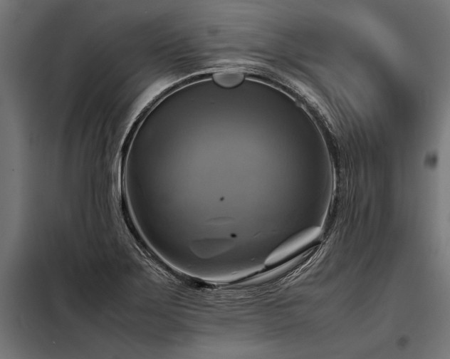 X0000098191275200804241236