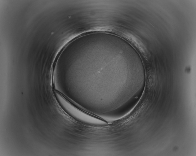 X0000098191276200804241236