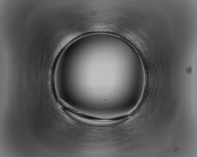 X0000098191277200804241236