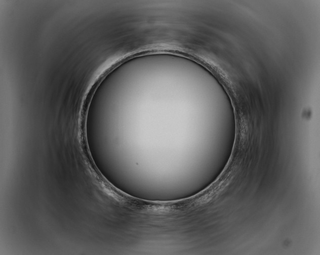 X0000098191278200804241236