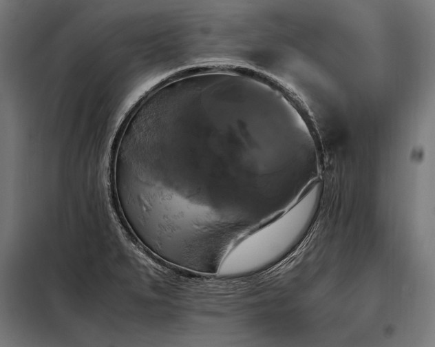 X0000098191279200804241236