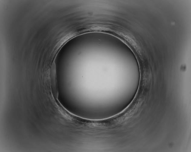 X0000098191281200804241236