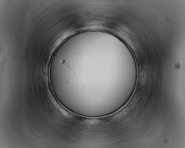 X0000098191282200804241236