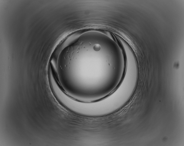 X0000098191283200804241236