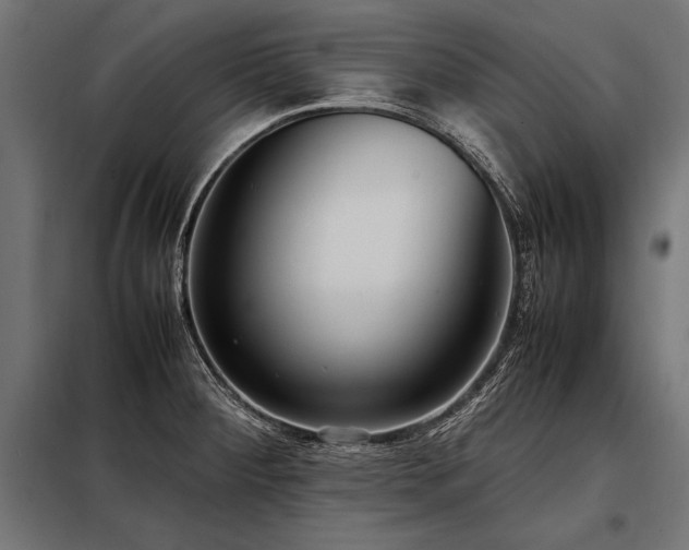 X0000098191284200804241236