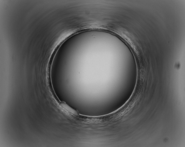 X0000098191285200804241236