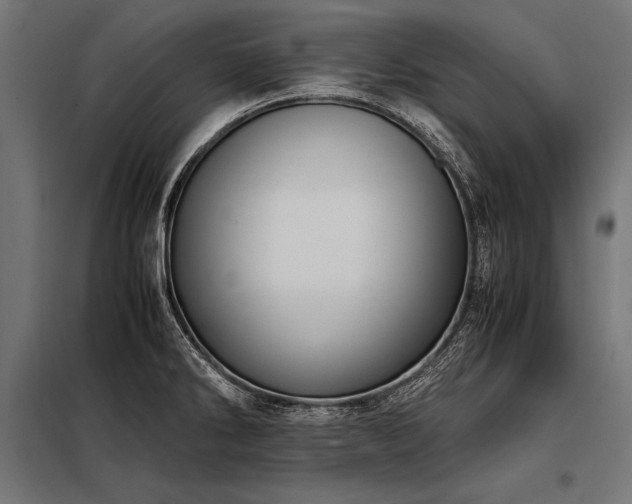 X0000098191286200804241236