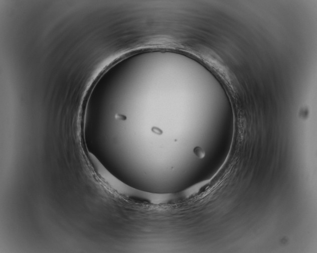 X0000098191288200804241236