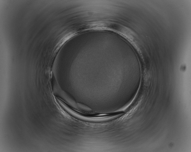 X0000098191289200804241236