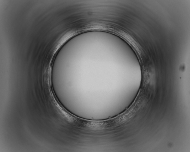 X0000098191290200804241236