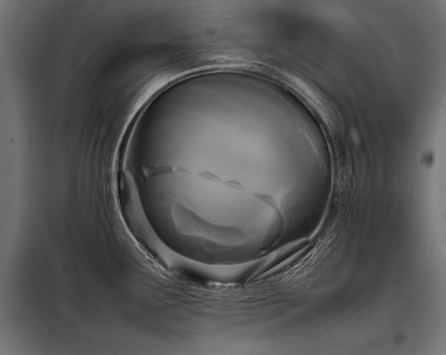 X0000098191291200804241236