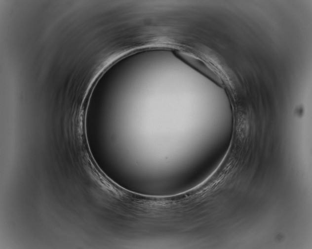 X0000098191292200804241236