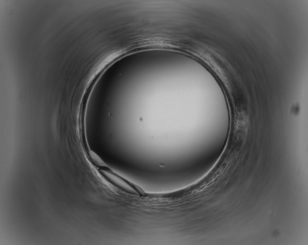 X0000098191293200804241236