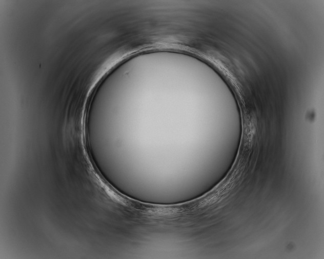 X0000098191294200804241236