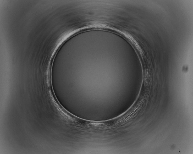 X0000098191295200804241236