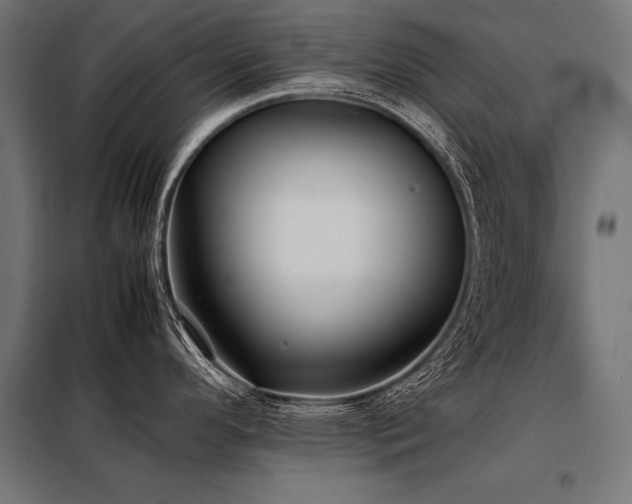 X0000098191296200804241236
