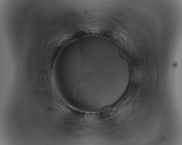 X0000098191297200804241235