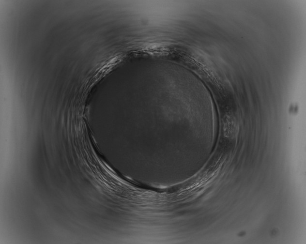 X0000098191298200804241235