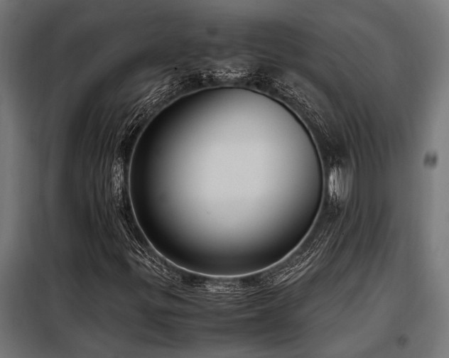 X0000098191299200804241235
