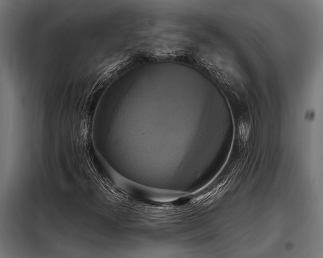 X0000098191300200804241235