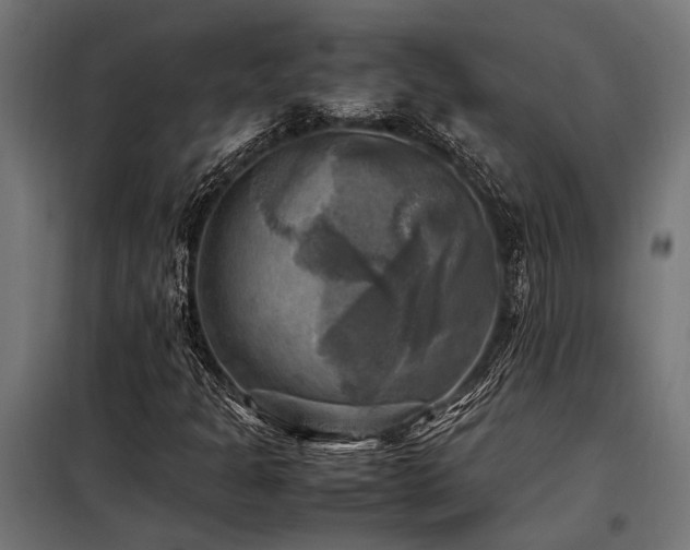 X0000098191301200804241235