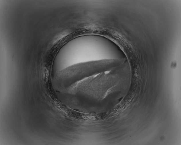 X0000098191302200804241235